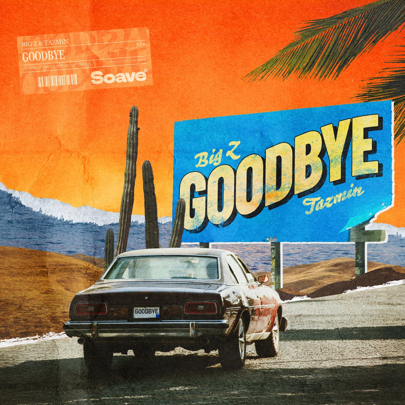Big Z - Goodbye (feat. Tazmin) (Original Mix)