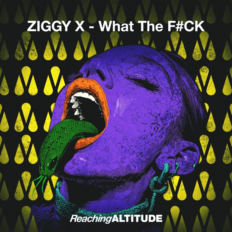 Ziggy X - What The F#CK (Original Mix)