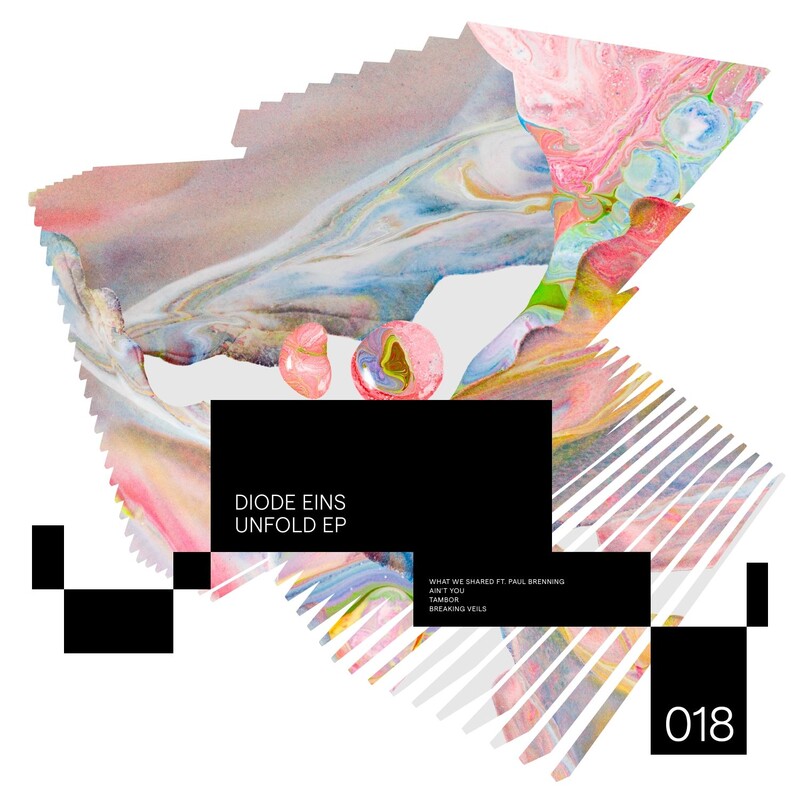 Diode Eins & Paul Brenning - What We Shared (Original Mix)