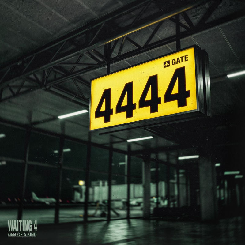 4444 OF A KIND, D-Block & S-te-Fan & Sub Zero Project - Waiting 4 (Original Mix)