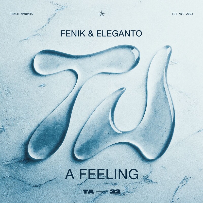 Fenik & Eleganto - A Feeling (Original Mix)