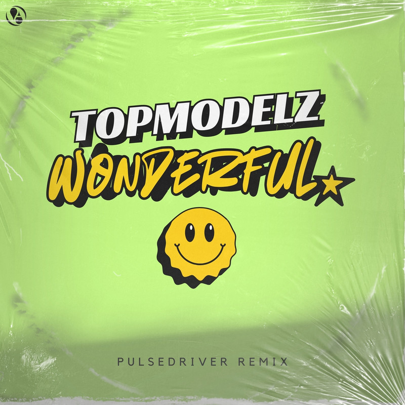 Topmodelz - Wonderful (Pulsedriver Extended Remix)