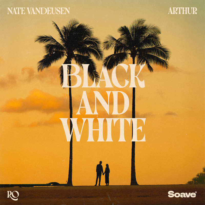 Nate VanDeusen & Arthur & Ro - Black And White (Original Mix)