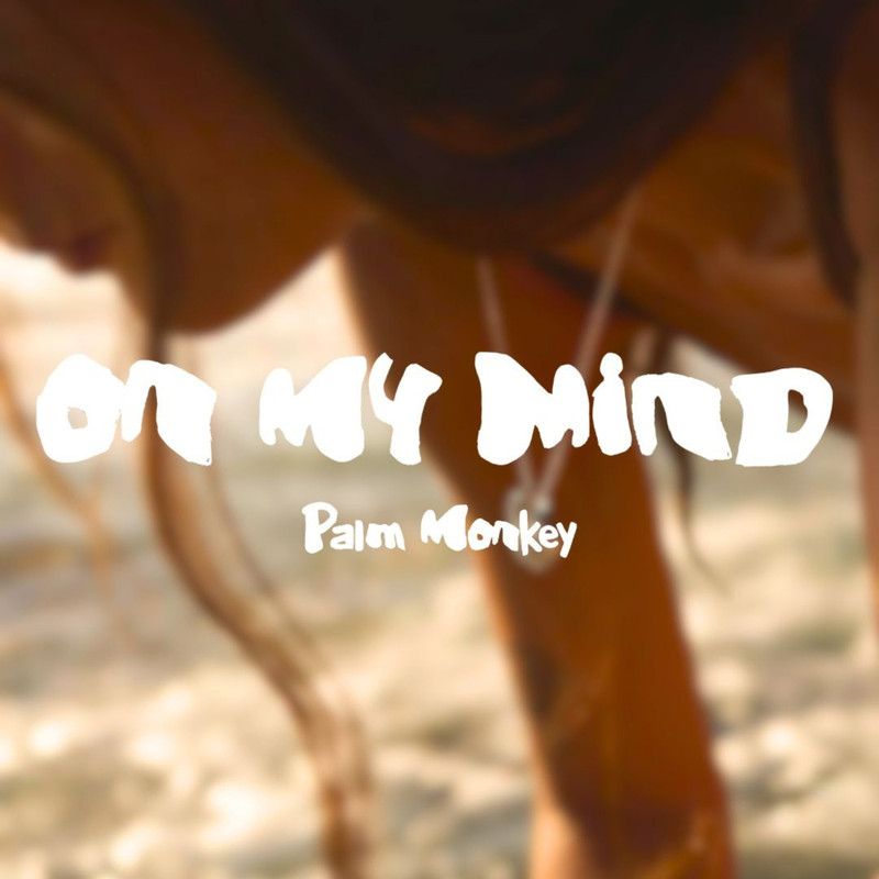 Palm Monkey - ONLY ME AND YOU (Original Mix)