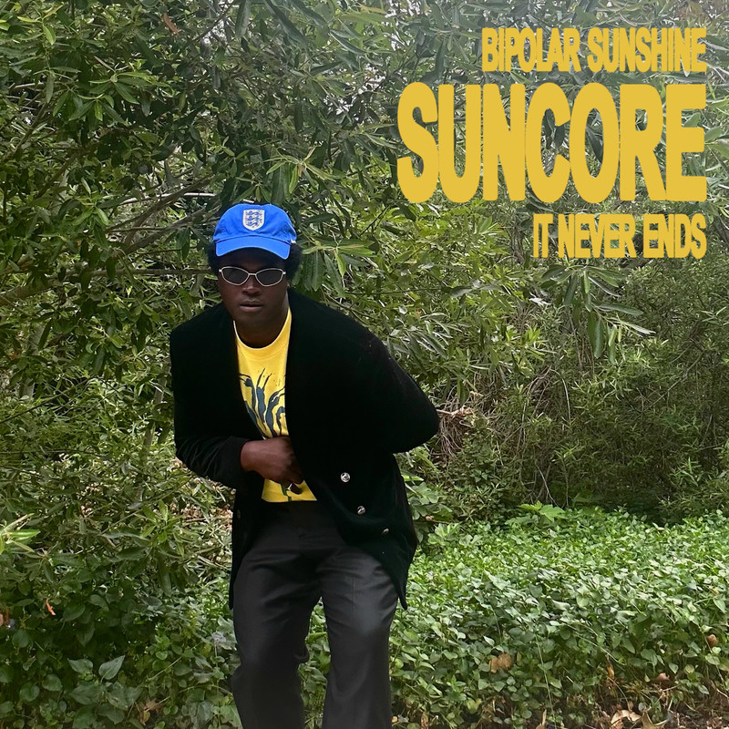 Bipolar Sunshine - love inside (Original Mix)