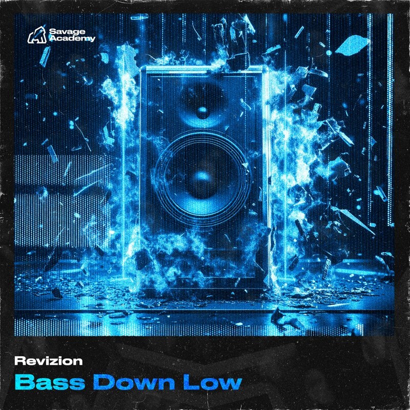 Revizion - Bass Down Low (Original Mix)