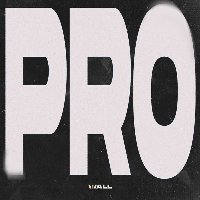 NLW - PRO (feat. Judgemxnt, M&AElig;DM, Jop Govers & LOW KEY) (Extended Mix)
