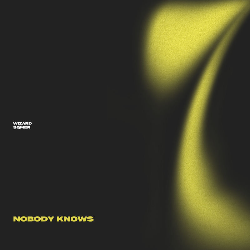 Wizard & sqmer - Nobody Knows (Original Mix)