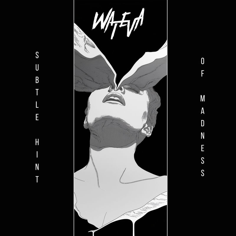 WATEVA - SUBTLE HINT OF MADNESS (Original Mix)