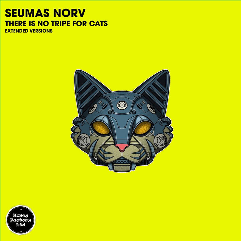 Seumas Norv - Danny Song (Extended Mix)