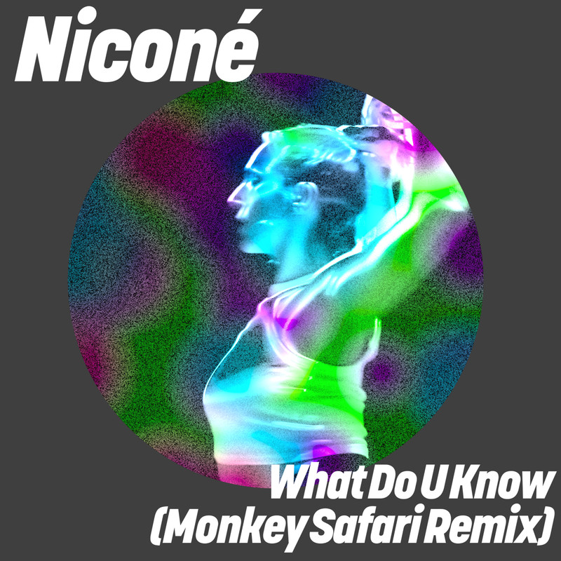 Nicon&eacute; - What Do U Know (Monkey Safari Extended Remix)