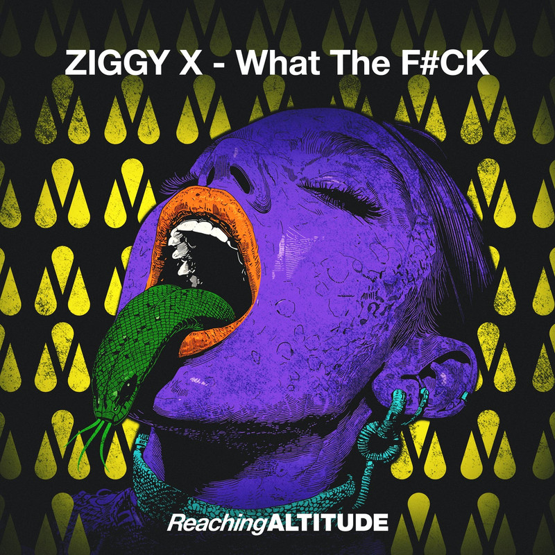 Ziggy X - What The F#CK (Extended Mix)