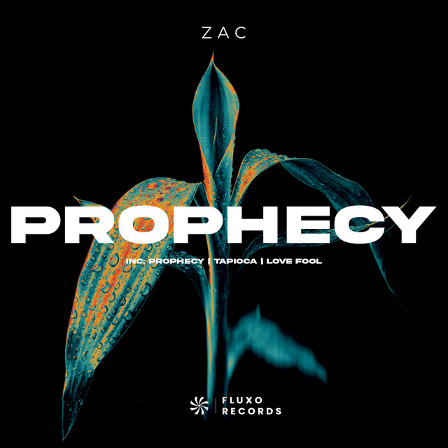 ZAC - Love Fool (Original Mix)