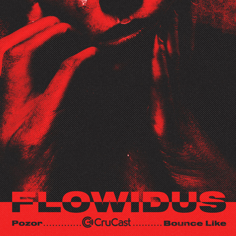 Flowidus - Bounce Like (Original Mix)