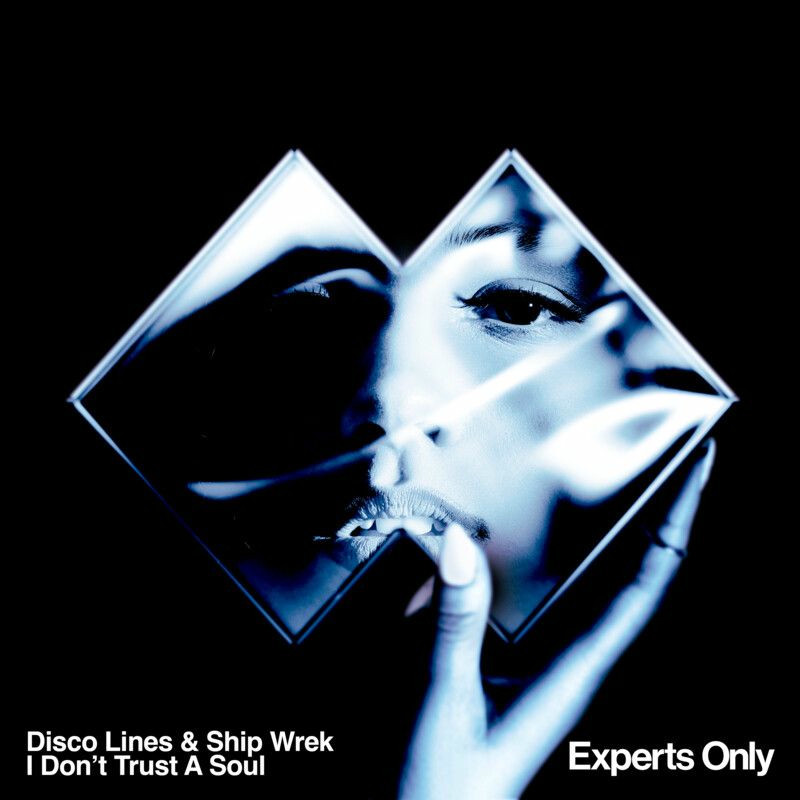 Disco Lines & Ship Wrek - I Don't Trust A Soul (Original Mix)