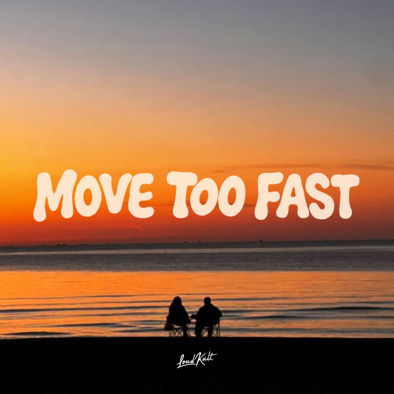VLX, The Palm Tree Boy - MOVE TOO FAST (Original Mix)