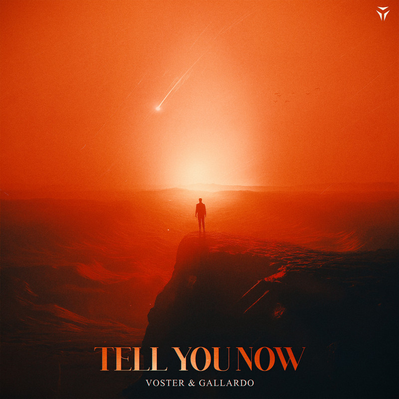 Voster & Gallardo - Tell You Now (Extended Mix)