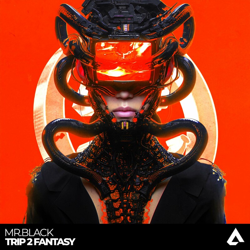Mr.Black - Trip 2 Fantasy (Original Mix)