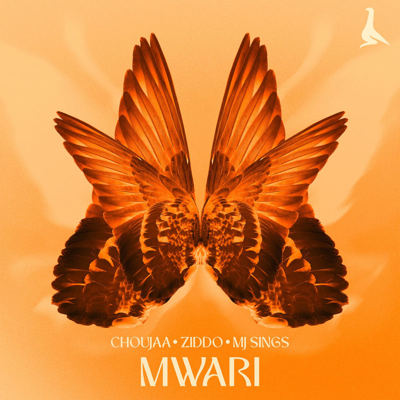 Choujaa, ZIDDO & MJ Sings - Mwari (Original Mix)