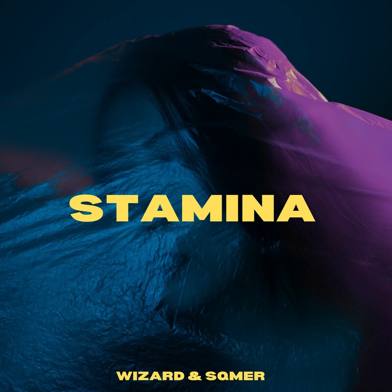 Wizard & sqmer - Stamina (Original Mix)