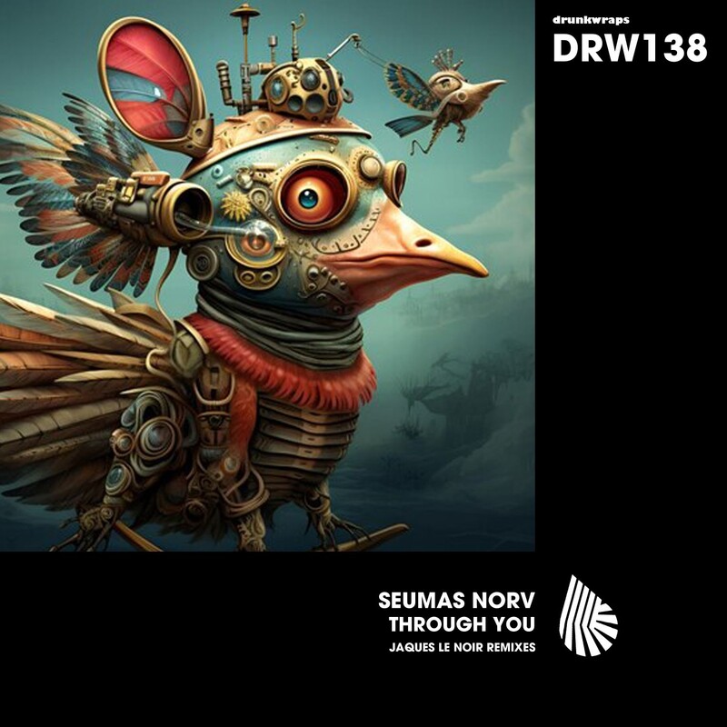 Seumas Norv - Through You (Jaques Le Noir Remix)