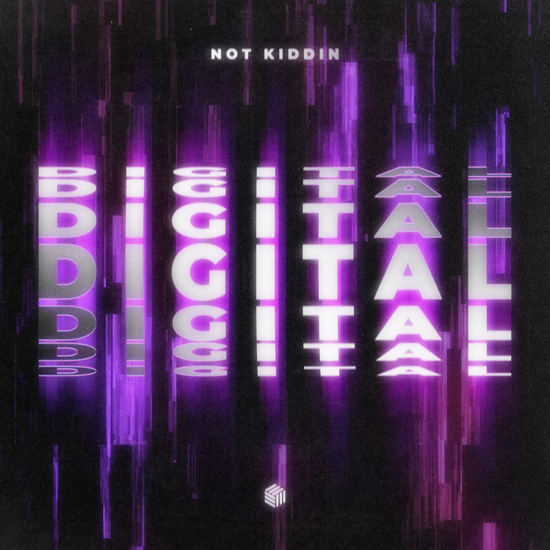 Not Kiddin - Digital (Extended Mix)