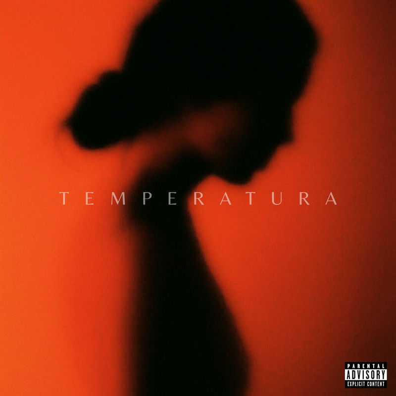 NYXZLO - TEMPERATURA (Original Mix)