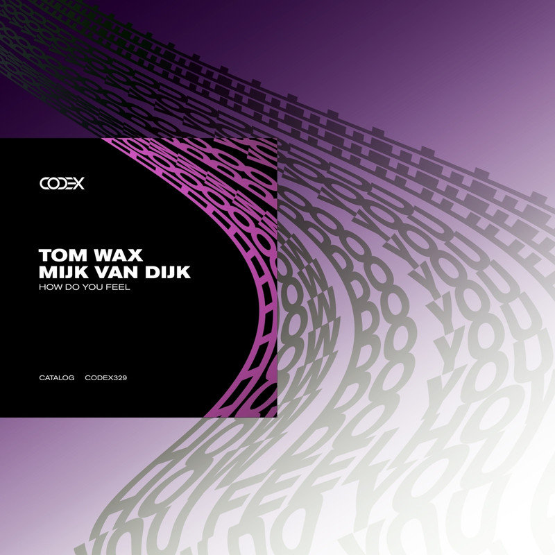 Mijk van Dijk, Tom Wax - How Do You Feel (Extended Mix)