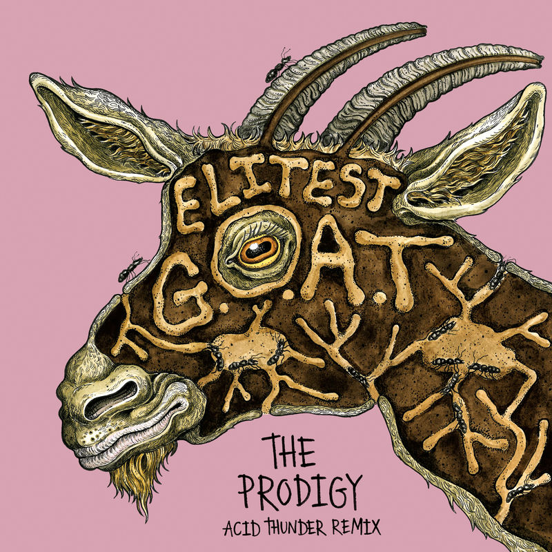 Sleaford Mods & The Prodigy - Elitest G.O.A.T. (The Prodigy Acid Thunder Mix)