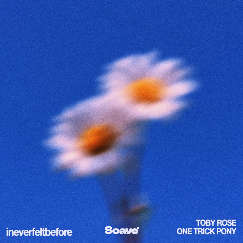 Toby Rose & One Trick Pony - ineverfeltbefore (Original Mix)