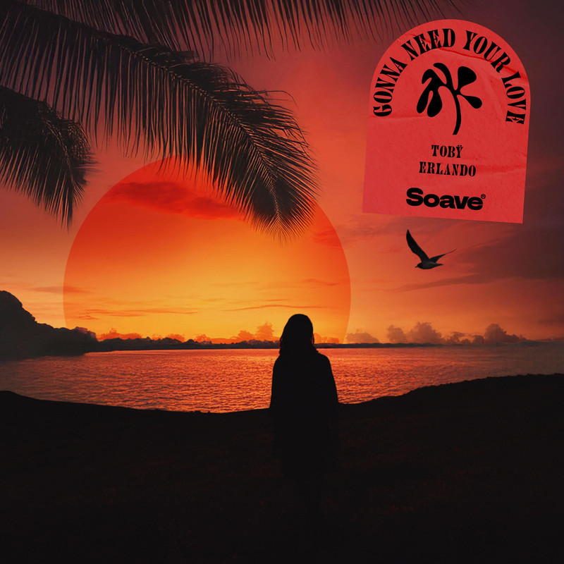 Tobÿ & Erlando - Gonna Need Your Love (Original Mix)