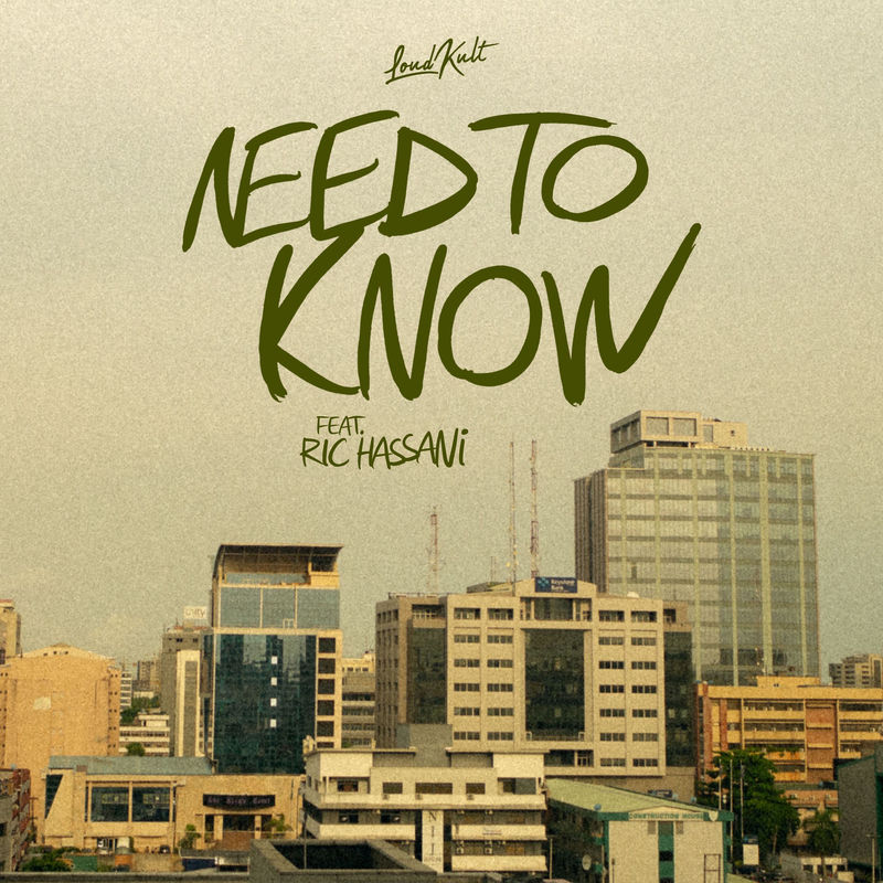 joki & Lucas Estrada - Need To Know (feat. Ric Hassani) (Original Mix)