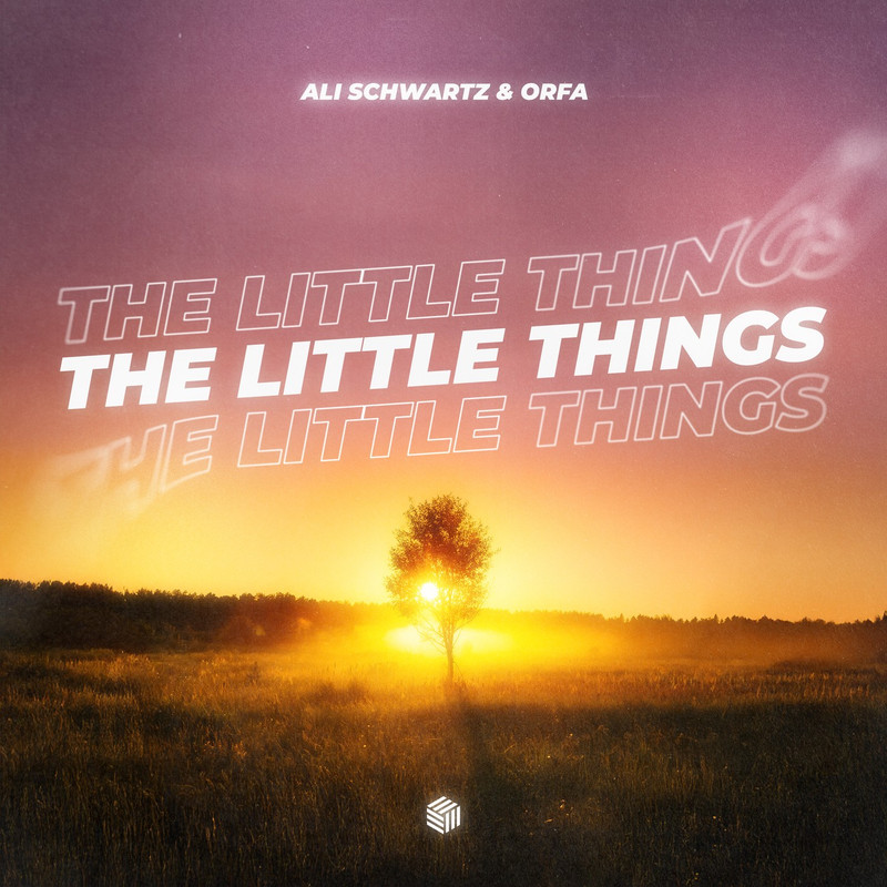 Ali Schwartz & Orfa - The Little Things (Extended Mix)