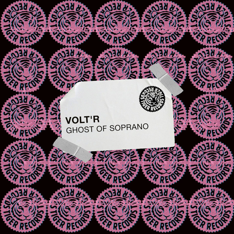 Volt'R - Ghost of Soprano (Extended Mix)