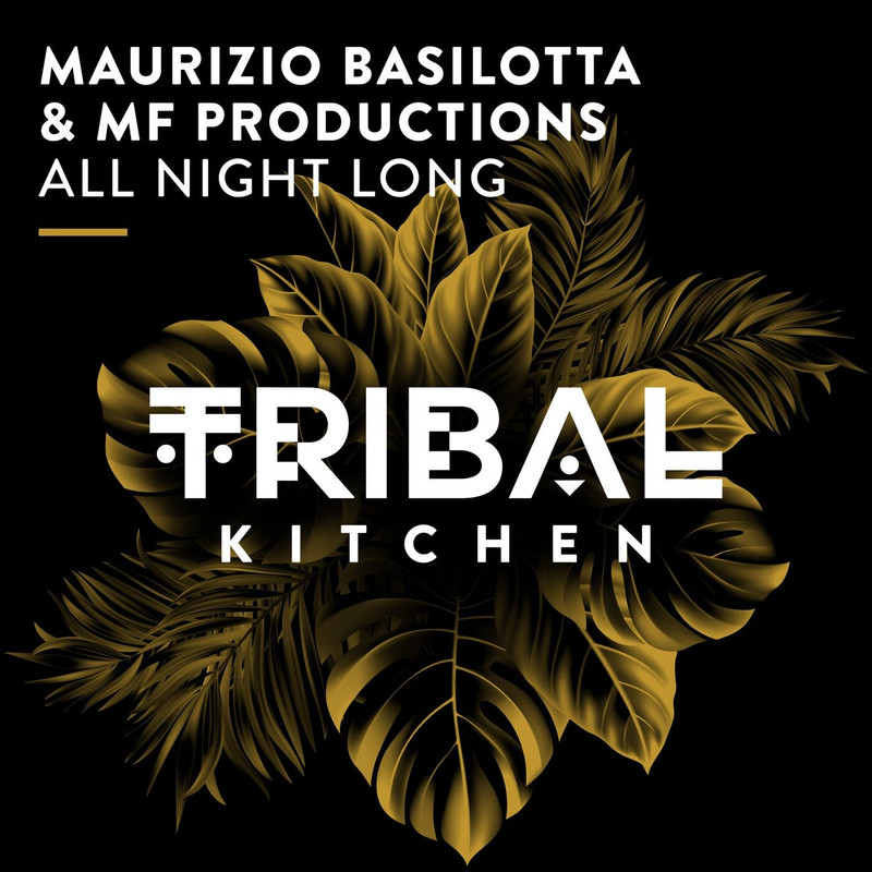 Maurizio Basilotta - All Night Long (Extended Mix)