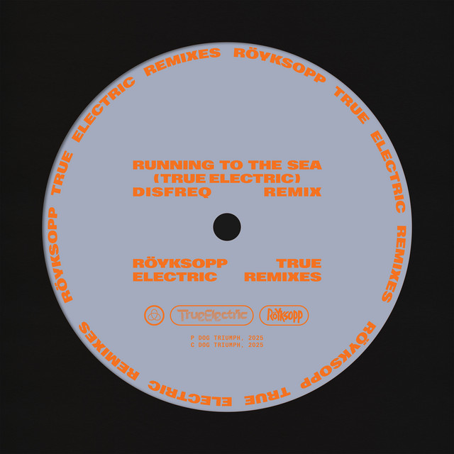 Röyksopp & Susanne Sundfør - Running To The Sea (Disfreq Remix)