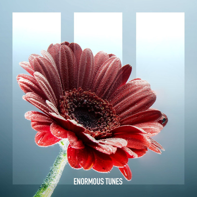 Passenger 10 - Druids (Extended Mix)