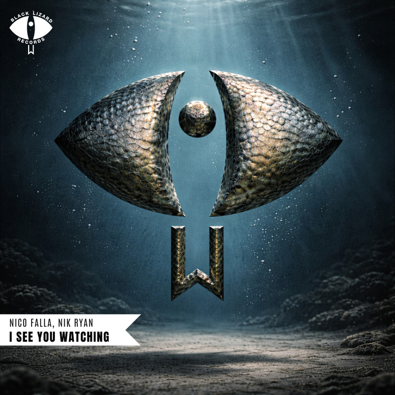 Nico Falla, Nik Ryan - I See You Watching (Extended Mix)