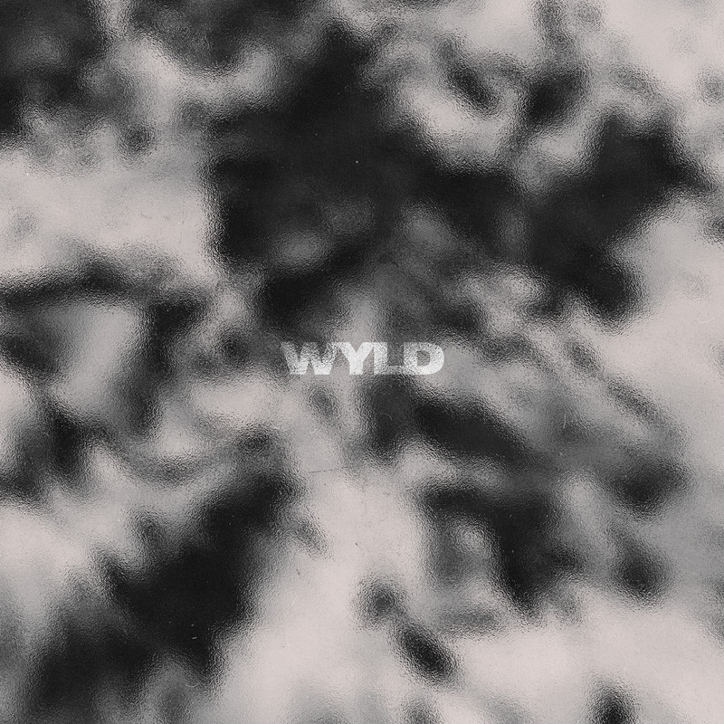 MEDUN - WYLD (Extended Mix)