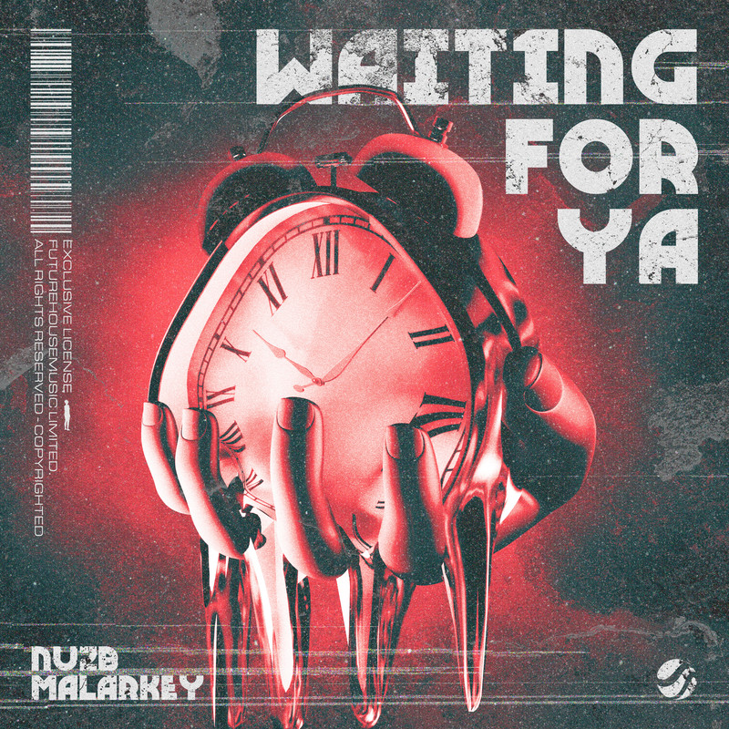 NUZB & Malarkey - Waiting For Ya (Extended Mix)