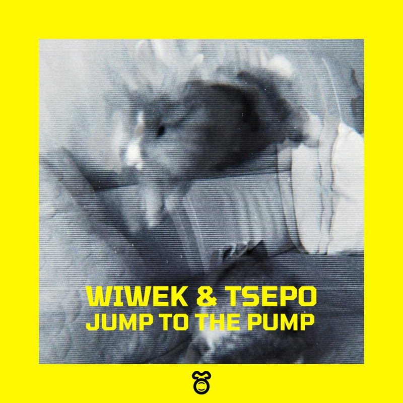 Wiwek & Tsepo - Jump To The Pump (Extended Mix)