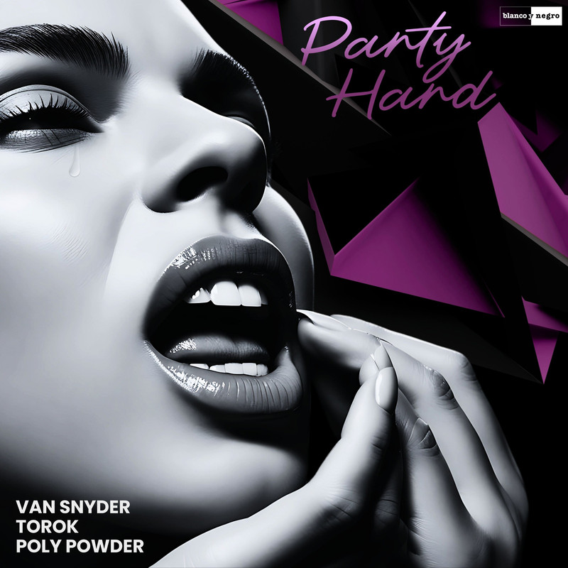 Van Snyder, Poly Powder & Torok - Party Hard (Extended Mix)