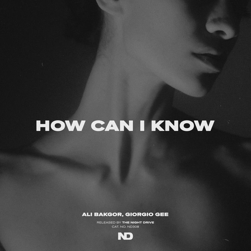 Ali Bakgor & Giorgio Gee - How Can I Know (Original Mix)