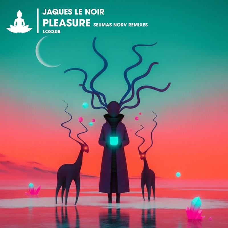Jaques Le Noir - Pleasure (Seumas Norv Remix)