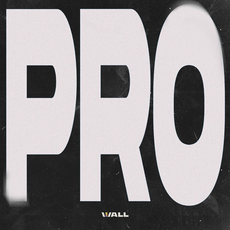 NLW - PRO (feat. Judgemxnt, M&AElig;DM, Jop Govers & LOW KEY) (Original Mix)