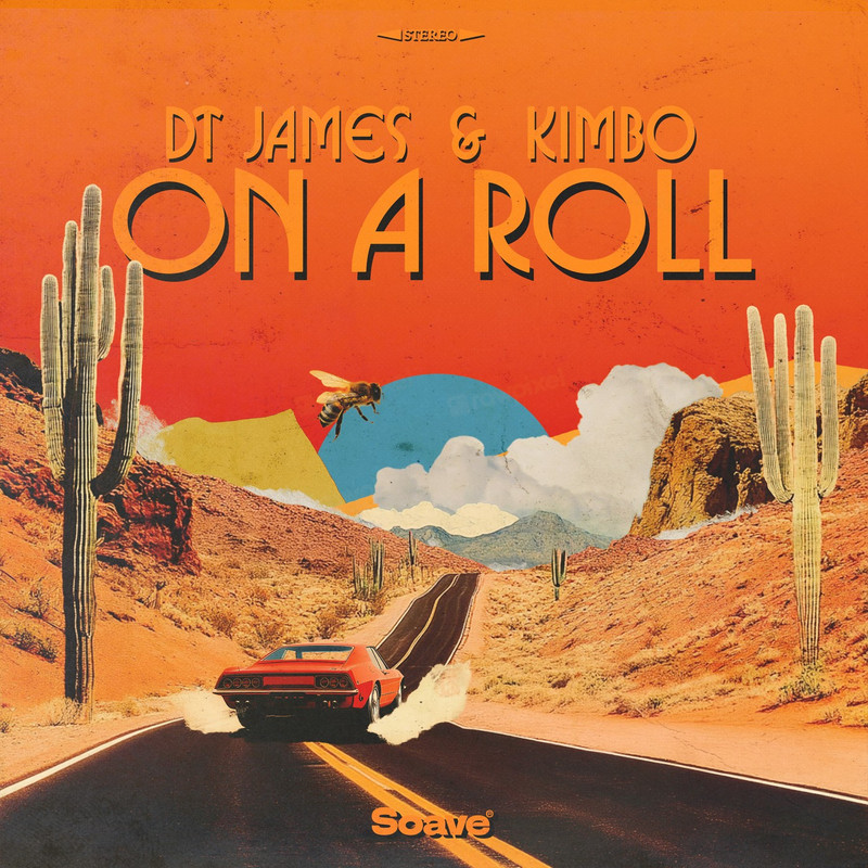 DT James & Kimbo - On A Roll (Original Mix)