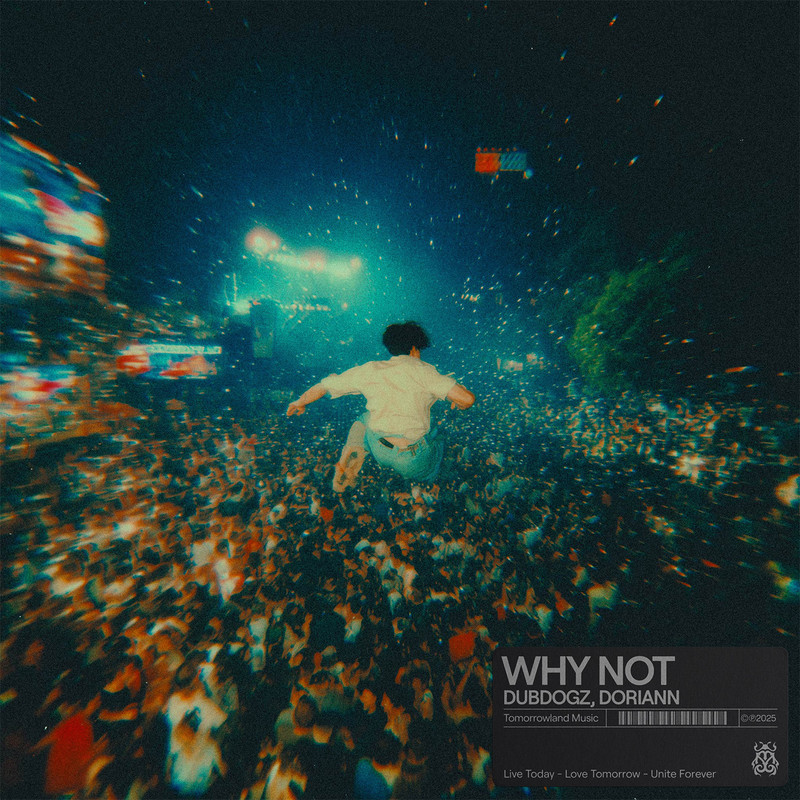 Dubdogz, Doriann - Why Not (Extended Mix)