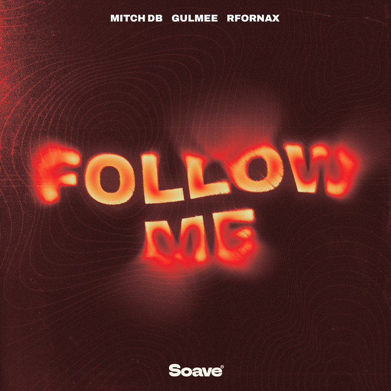 MITCH DB, Gulmee & RFornax - Follow Me (Extended Mix)