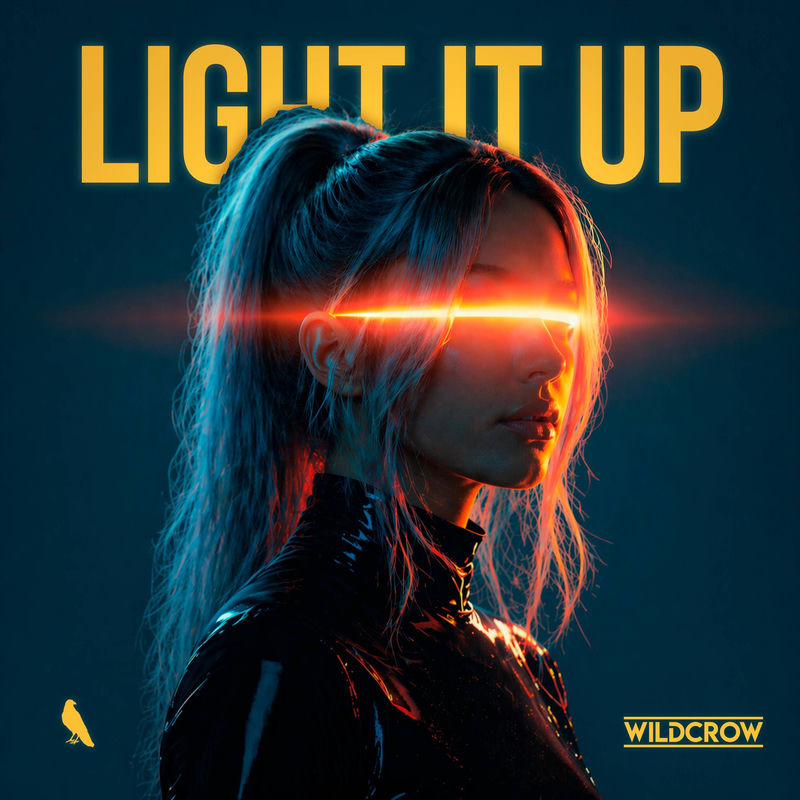 Wildcrow - Light It Up (Original Mix)