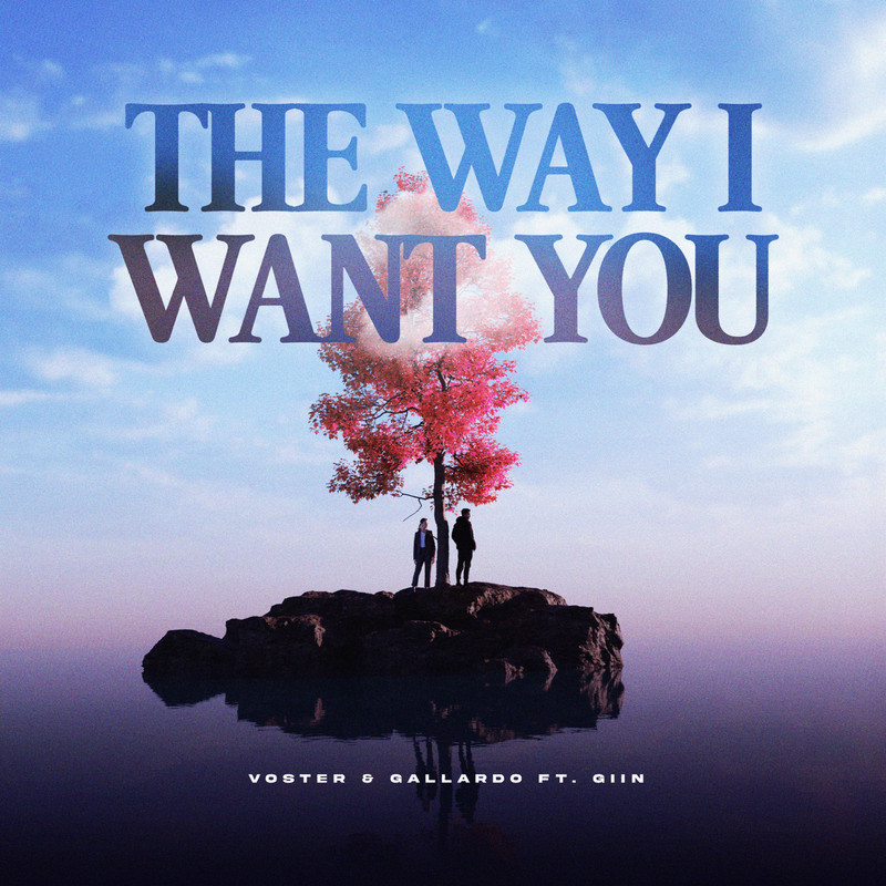 Voster & Gallardo - The Way I Want You (feat. Giin) (Extended Mix)